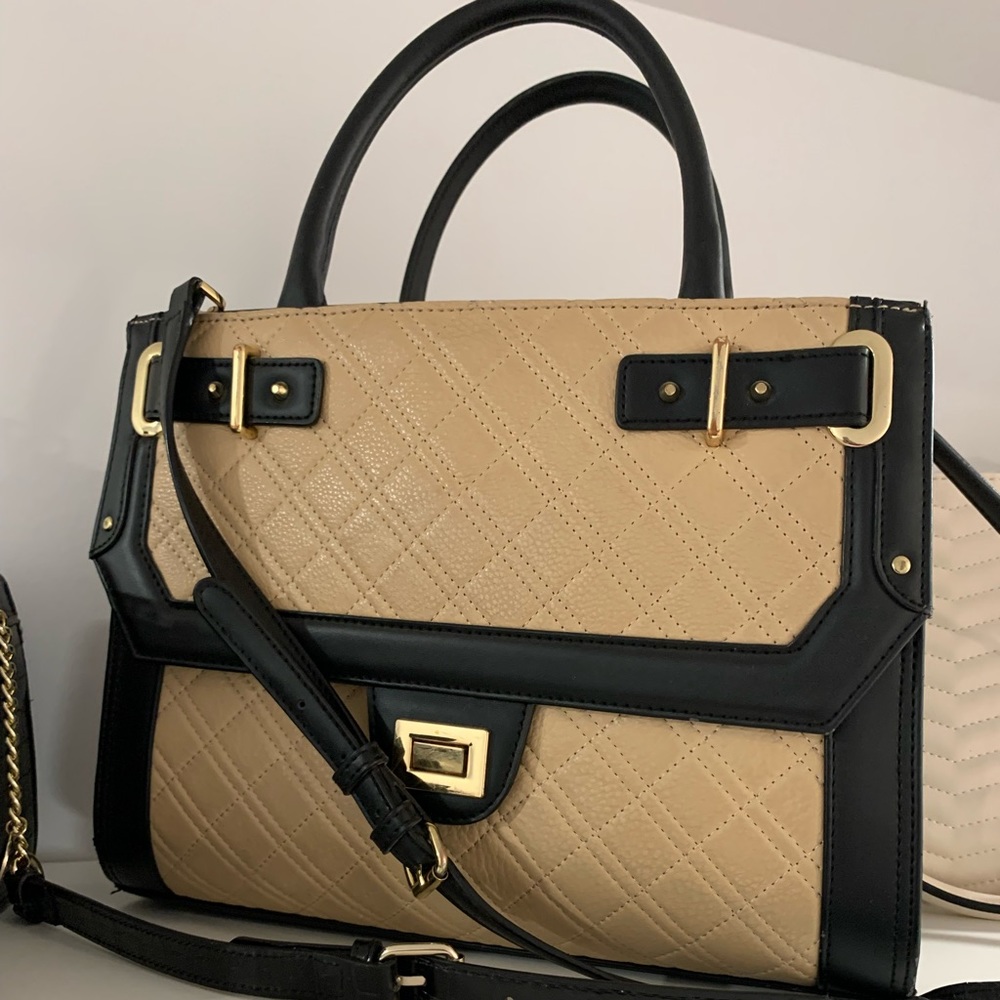 Black and beige ourse